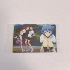 エヴァンゲリオン 限定 ウエハースカード 碇シンジ 綾波レイ アスカ 1