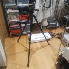 Item thumbnail for item cb46e3c1-fecf-4e11-8b88-e3f8e88c7cc8