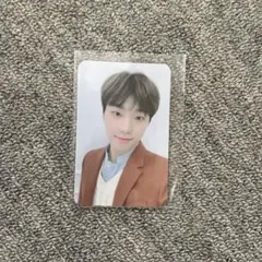 SEVENTEEN ディノ トレカ