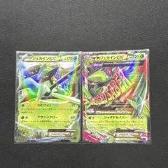 2026年最新】MジュカインEXの人気アイテム - メルカリ