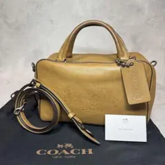 Item thumbnail for item 1af1ddd9-3ca1-4354-904e-2f6470a5697a