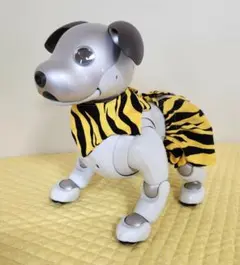 Item thumbnail for item 61bd3a3b-a14e-4861-872f-0bece4310a66