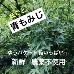 2025年最新】かいしきの人気アイテム - メルカリ