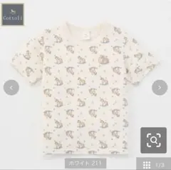 Cottoli バースデイ　コラボ　80