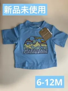 Patagonia シルクウェイト・Tシャツ