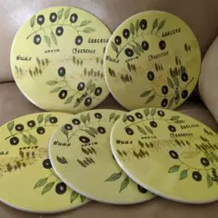 値下げしました❢オリーブデザイン陶器皿5枚セット