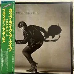 ブライアン・アダムス『Cuts Like a Knife 』LPレコード