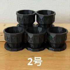 3Dプリンター鉢 メッシュ構造 2号 TR0212g5set 観葉植物 植木鉢のサムネイル
