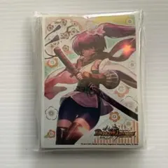 カードプロテクト