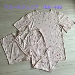 ワコール　ジュニア　パジャマ　155〜165のサムネイル