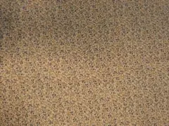 ベージュ地に青い小花柄の綿生地