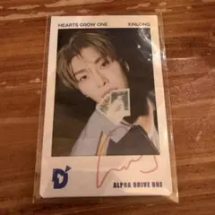 ALD1 DICON COLLECTOR'S CARD チェキ シンロン - メルカリ