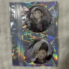 Dr.STONE あさぎりゲン 缶バッジ 2個セット