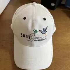 Item thumbnail for item 800adba9-a489-4147-bca8-97e954047d81