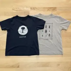 mont-bell キッズ Tシャツ 2枚セット　モンタベア　昆虫　120