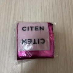 Item thumbnail for item 8b3b7259-0ea6-4c4b-93bf-f5939d9d1c0b