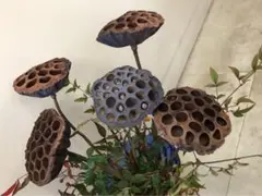 Item thumbnail for item 0c4da192-c6c3-4743-ab28-eda271444475