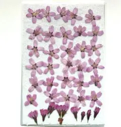 Item thumbnail for item 1bdc63eb-b5ee-4b69-8b69-9e7cebdaa18d