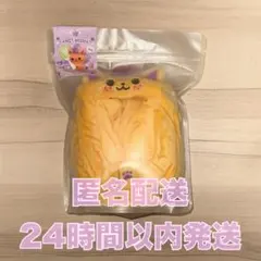 NCT WISH ウィシ ソウルコン MD グッズ シオン ペンライトカバー