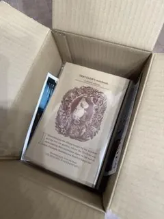 新品★トラベラーズノート 限定セット MOOMIN パパの思い出 ムーミン TF