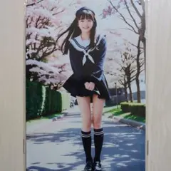 Item thumbnail for item 24530717-bdf0-4d04-bcdd-ffd76a151475