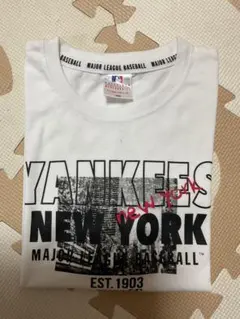 Item thumbnail for item bfaa64d9-b9e8-455c-86f2-c28fe730d8a5