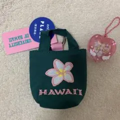 PLAZA限定　プラザ　ハワイ大学 カラビナ付きミニポーチ グリーン　緑のサムネイル
