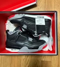 りゅう様専用NIKE AIR JORDAN4 リイマジンド仕様 サイズ28 - メルカリ
