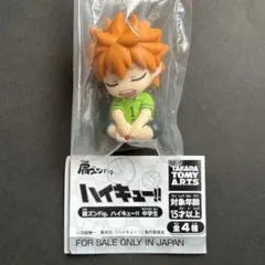 ハイキュー　肩ズンFig 中学生　日向翔陽