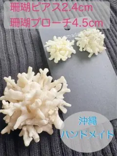ピアス　ブローチ　セット　雪の結晶　白　珊瑚　沖縄　オリジナリティ　手作り