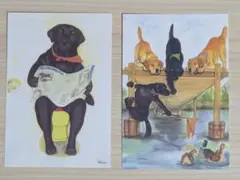 2026年最新】山本容子 犬の人気アイテム - メルカリ