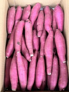 yuuuu専用　あまはづき　さつまいも　2sサイズ　25kg