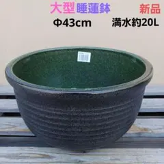 新品 ∅51 特大 陶器 睡蓮鉢 手造り メダカ鉢 難有 ラピスブルー LDB①