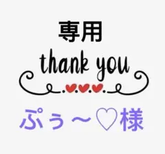 ぷぅ〜♡様専用