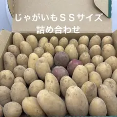 じゃがいもＳＳサイズ詰め合わせのサムネイル