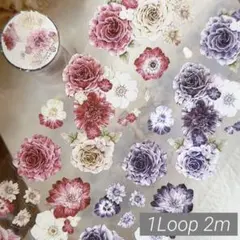 Item thumbnail for item d66cdc3e-0061-4fcf-a34a-4826bc880e60