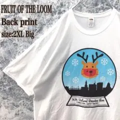 T1US古着フルーツオブザルームチャールストントナカイランバックプリントTシャツ