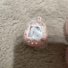 たまごっち　シャカシャカチャーム　コレクション