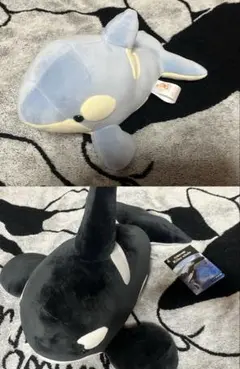 名古屋港水族館 シャチ『アース』 缶バッジ - メルカリ