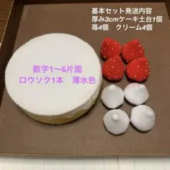 大きな苺のバースデーケーキ★誕生日会イベントに★フェルトケーキおままごと用