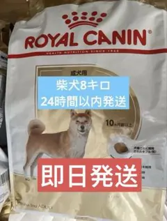 Item thumbnail for item 2ff4ae71-3c15-47ae-8678-7614e7bacbac