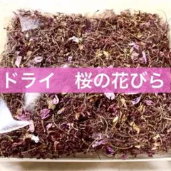 桜　ドライフラワー　花びら　ポプリ　ハンドメイド素材☘のサムネイル