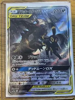 〜*〜様 ブラッキー&ダークライGX　sa