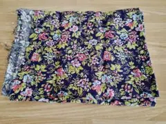 Item thumbnail for item fb6fce85-1c06-4aaf-ab90-e420a5427111