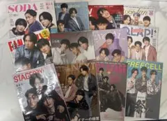 ⚠️値下げ⚠️ Snow Man 岩本照 深澤辰哉 宮舘涼太 祭GALA 雑誌