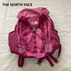 THE NORTH FACE ノースフェイス　テルス20リュック