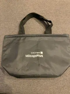 Item thumbnail for item a6246a59-3252-4496-bf9a-f855c92065c0