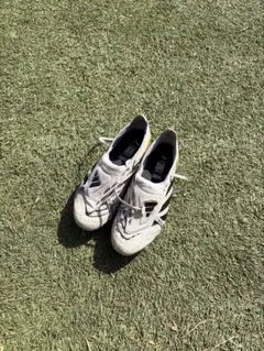 Item thumbnail for item c9aaa4ad-4e67-4a8a-97eb-034d31c928b2