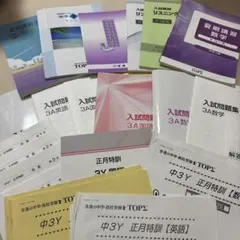 高校2年生模試 まとめ売り6回分 ベネッセ 河合塾 東進 - メルカリ