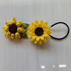 リピ様♥ひなた様専用♡レジンヘアゴム めじるしアクセサリー - メルカリ